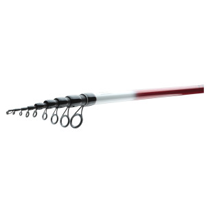 Вудлище болонське Daiwa 25 Ninja Х Bolo