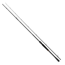 Спінінг Daiwa 25 Prorex XR Spin