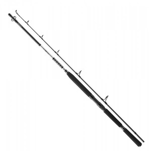 Удилище Daiwa BG Boat 2.40м 150-400гр